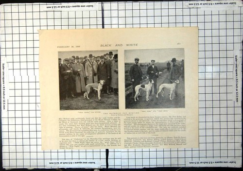 Antique old print - antique,