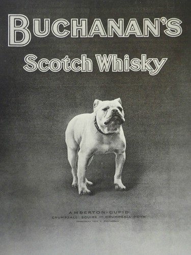 Black white whisky - &,