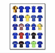 Cardiff City Football Shirt
