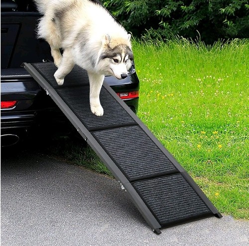 Folding dog ramp non - dog, slip