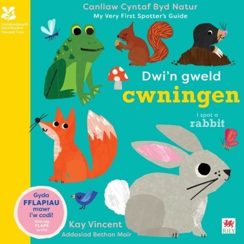Dwi gweld cwningen i spot - dwi'n,