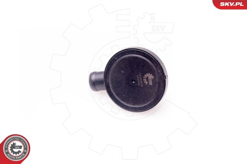 For skv germany - for,