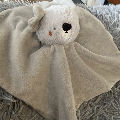 New look koala - look, baby