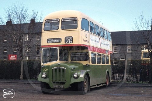 Bus photo grampian - -,