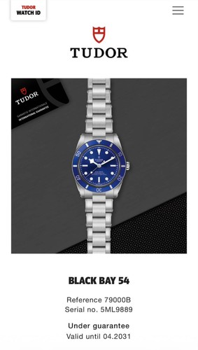Tudor black bay blue 37mm - tudor,