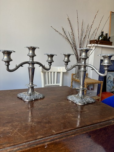 Antique silver plated arm - antique,