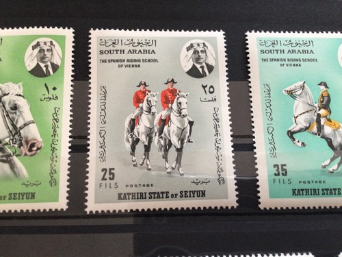 South arabia spanish riding - south,