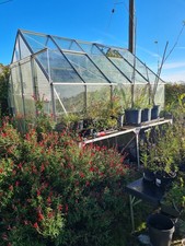 greenhouse used 8 x 10 reinforced glass