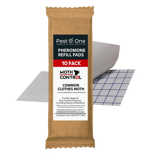 Carpet clothes moth trap - moth,