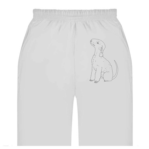 Bedlington terrier dog adult - dog',