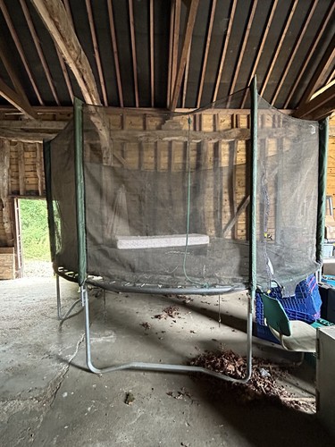 Plum 10ft trampoline barn - plum,