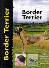 Border Terrier (Pet