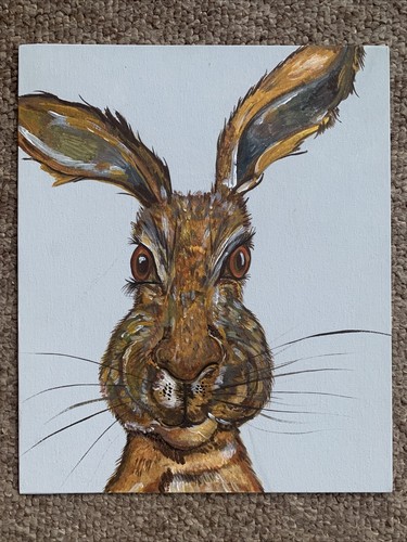 Hare animals original - hare,
