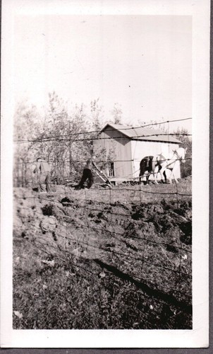 Vintage photograph 1920 s - photograph, 1920-30's