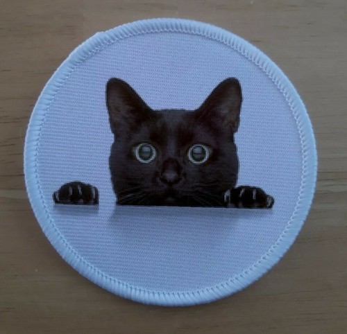 Black cat kitten patch - kitten, badge