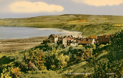 Robin hoods bay north - robin,