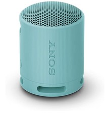 Sony SRS-XB100 Portable