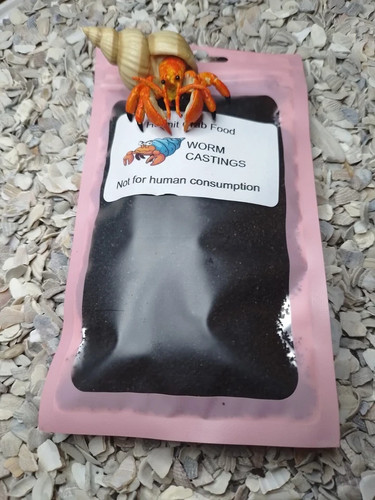 Hermit crab food - food, ,cuisine