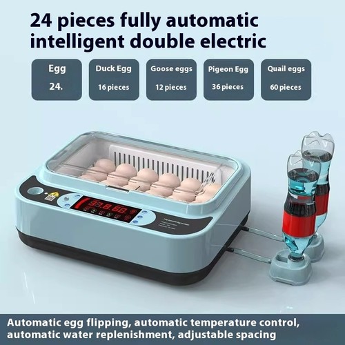 Incubator small home - home,
