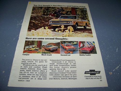 1969 chevy pickup - 1969,