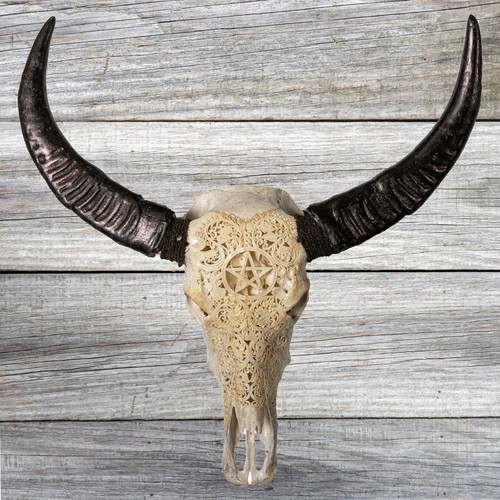 Large murrah buffalo ram wild - buffalo,