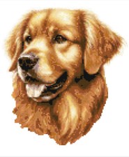 Golden Retriever Dog Gift