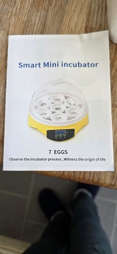 Egg incubator chicken duck - egg,