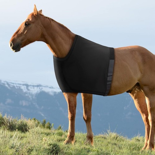 Horse chest saver - horse,