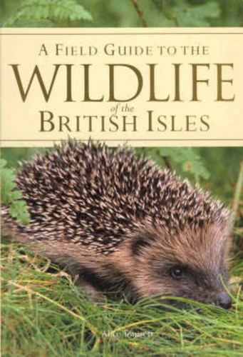 Unknown wildlife of - wildlife,