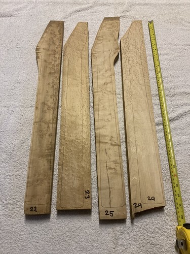 Bird eye maple electric - maple,