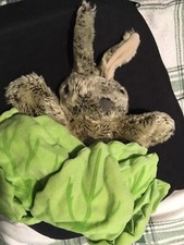 Hand The Puppet Company Rabbit In a Cabbage/Lettuce Hand Puppet Soft Toy Bunny