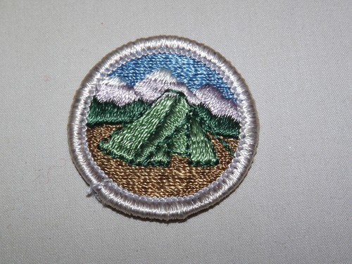 Vintage bsa boy scout - boy, patch