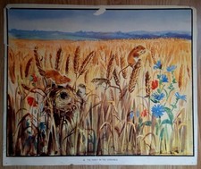 Eileen Soper: Set Of 3