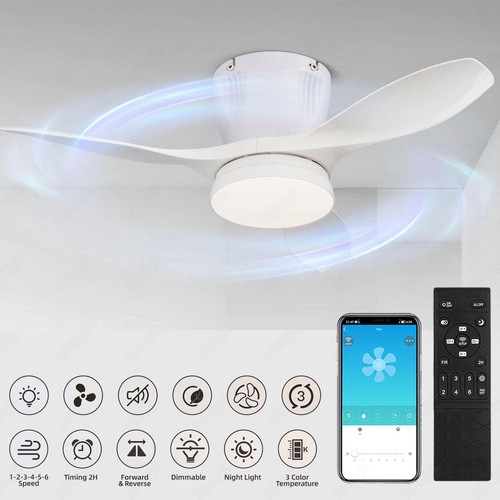 Large led ceiling fan - led, with