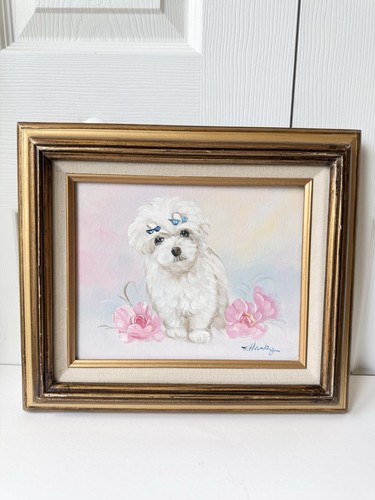 Maltese puppy dog original - puppy,
