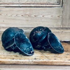 VINTAGE LUCAS WIND TONE SNAIL