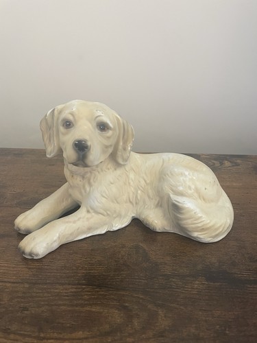 Golden retriever vintage - golden,