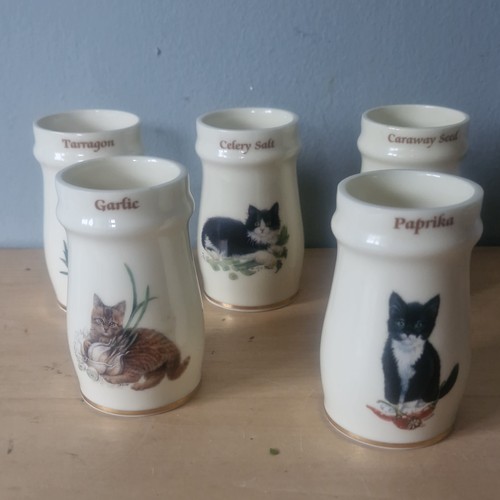 Leslie anne ivory cats - 5, x