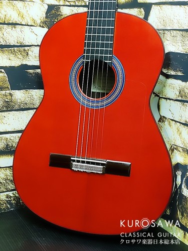Javier castano 2022 flamenco - 2022,