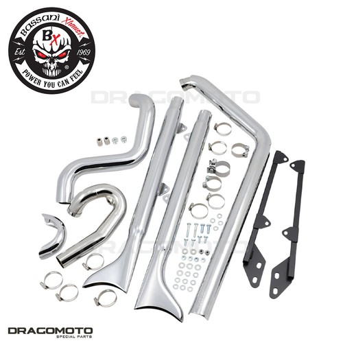 Harley flstsb 1584 - 1584, bones