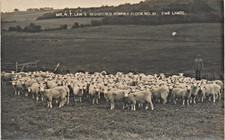 Romney. H.T. Law's Registered