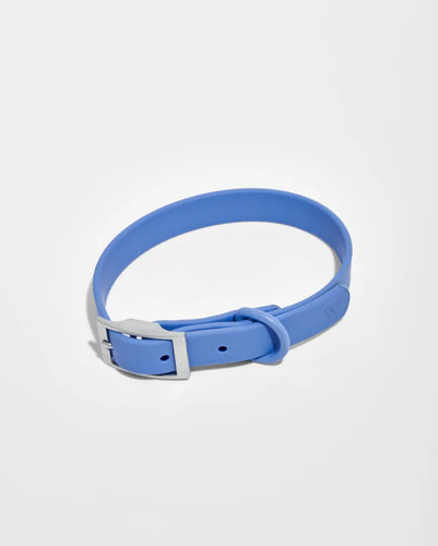 Wild one dog collar - wild,
