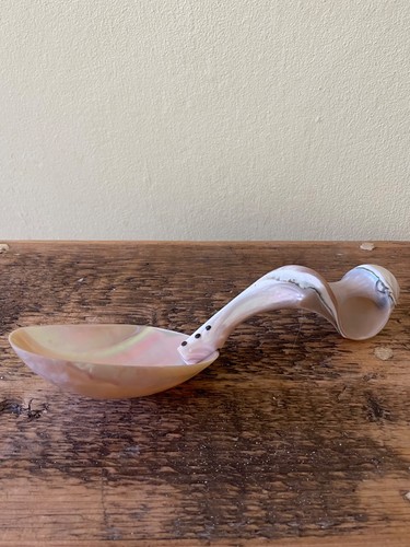 Antique mother pearl shell - of,
