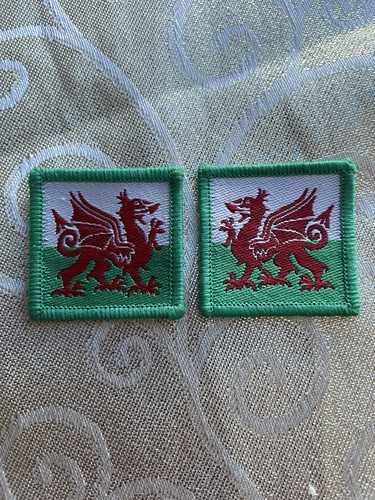 Welsh flag dragon - welsh,