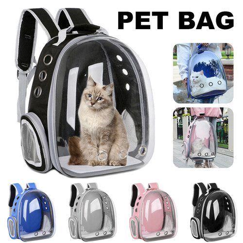 Astronaut window dog cat - dog,