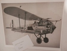 Large Original Photo. K2488