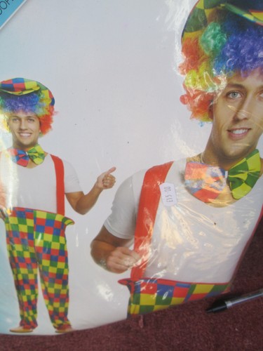 Adult fancy dress henbrant - adult,