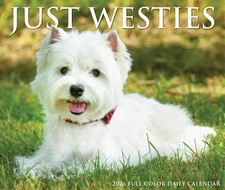 Westies 2026 Box Calendar by