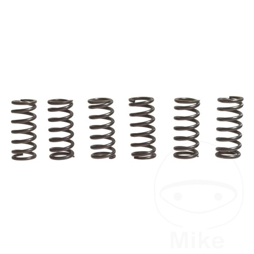 Ebc clutch spring kit - spring, (6)