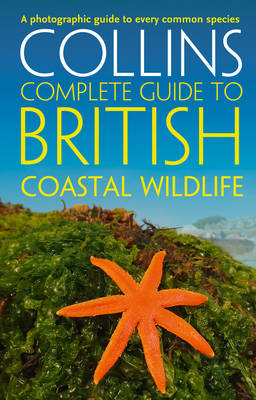 British coastal wildlife - british,